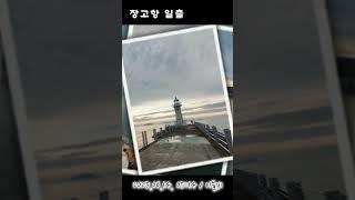 장고항 일출 #장고항 #일출