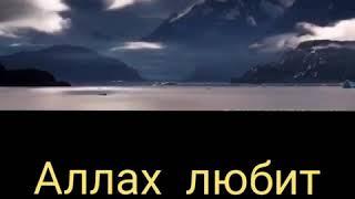 АЛЛАХ ЛЮБИТ ЭТО КАЧЕСТВО В ЧЕЛОВЕКЕ!!!