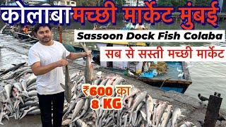 COLABA FISH MARKET IN MUMBAI 2024|| Sassoon Dock Fish Colaba In Mumbai, Wholesale and Retail market