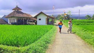 Heboh‼️Warung Pinggir Sawah Yang Sering Dikunjungi Banyak Orang, Bikin Betah | Pedesaan Jawa Barat