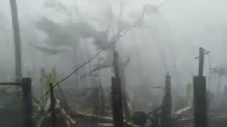 ACTUAL SITUATION  DURING THE SUPER TYPHOON PEPITO  @  SORSOGON,  PHILIPPINES