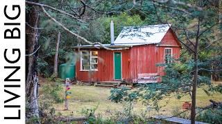 She Turned This Abandoned Hut Into A Dream Woodland Cabin