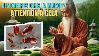 LA VÉRITABLE SIGNIFICATION DE CES INSECTES DANS VOTRE MAISON EST RÉVÉLÉE