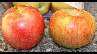 Honeycrisp Apples vs Gala Apples Review