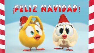  ¡FELIZ NAVIDAD! ¿Dónde está Chicky? | Dibujos Animados para Niños