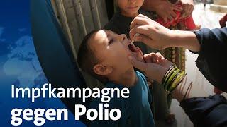 Impfkampagne gegen Polio im Gazastreifen