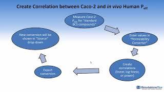 Converting In Vitro Permeability to Effective Jejunum Permeabililty