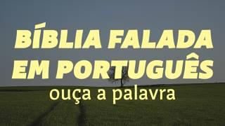 BÍBLIA FALADA EM PORTUGUÊS | Ouça a palavra  - Bíblia JFA Offline