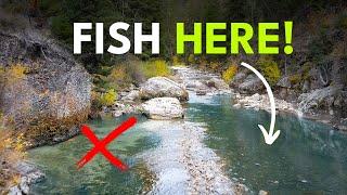 How To Find Trout In A River — Pools 101 | Module 8, Section 4