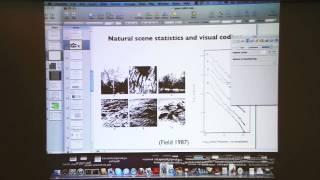 Bruno Olshausen: "From Natural Scene Statistics to Models of Neural Coding & Representation, Pt. 1"