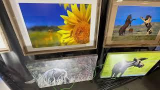Foxx Photos, LLC Booth @ Hickory Christmas Show December 1-3, 2023