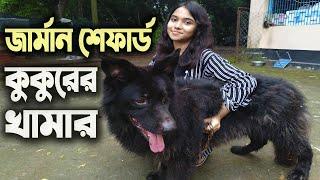 মামা আর ভাগ্নীর জার্মান শেফার্ড কুকুরের খামার | German Shepherd Dog Farm in Bangladesh