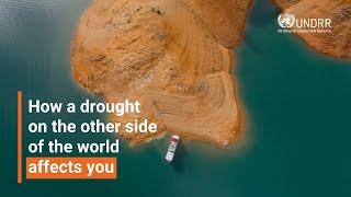 How a drought on the other side of the world affects you | UNDRR