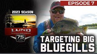 Fishing for Big Bluegill in Northern Minnesota | UFE - S23 Ep. 7 | Lund Boats