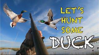 Duck Hunting with a 12 Gauge!