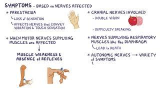 Guillain Barre Syndrome | Osmosis