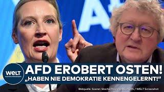 BUNDESTAGSWAHL: AfD erobert Ost-Deutschland! CDU verliert! Woran liegt das? I WELT Analyse