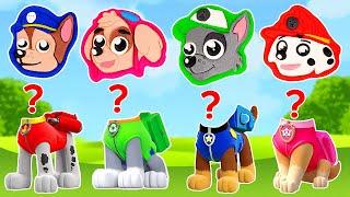 Create Paw Patrol Pups with Play Doh Molds | Best Learn Colors | Preschool Toddler Learning Video