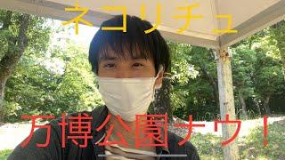 ネコリチュ、万博公園ナウ！〈久しぶりの実写〉