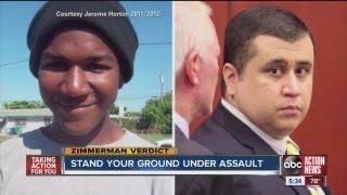 Stand your ground gun laws under assault from many directions