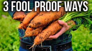 The 3 Secrets to Growing Perfect Carrots Every Time!