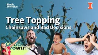 Tree Topping: A result of chainsaws and bad decisions | #GoodGrowing