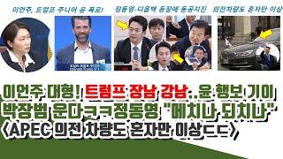 이언주 대형! 트럼프 장남 강남행..윤 행보 충격!! (정동영 등장에 박장범 거의 울기 수준)