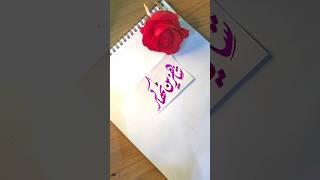 Shahzeen Thakar name's calligraphy video #calligraphymasters #moderncalligraphy #nameart