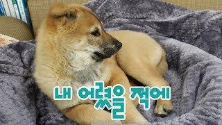 내 어렸을 적에 : 자닮 세무회계 송애경 세무사