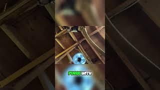 Refrigerant Purging: The BS You Need to Know!