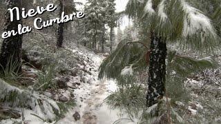 Snow on the summit of Gran Canaria 06/02/2021