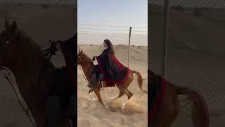 Mahboul Ana  #mahbool_ana #trending #horse #riding #crazy #funny #reels #youtubeshorts #youtube