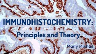 Immunohistochemistry: Principles and Theory