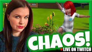  THE CHAOS YOU MISS LIVE ON STREAM  | Chani_ZA