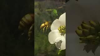 공룡 시대의 지구의 모습  #다큐멘터리 #역사 #천문학
