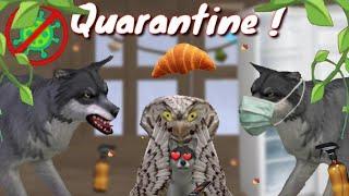 Wildcraft: Quarantine with the noobs