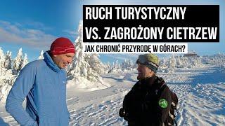 Szlaki i ruch turystyczny vs. zagrożony cietrzew. Jak chronić przyrodę w górach? #WYWIAD_NA_SZLAKU