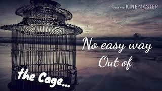 No Easy Way out of the Cage