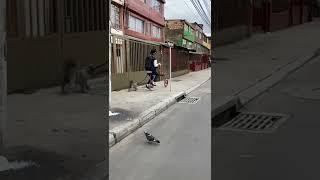 Vea pues, la gente novedosa en la calle