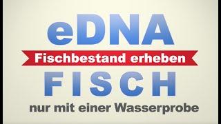 Fischbestandsanalyse auf DNA-Basis: Die günstige Alternative zur Elektrobefischung eDNA FISCH