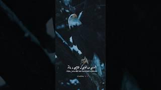 Afsos, Sad Afsos Ke Shaheen Na Bana Tu | (Bal-e-Jibril-163) Abbu-Al-Allama'ari | Allama iqbal poetry