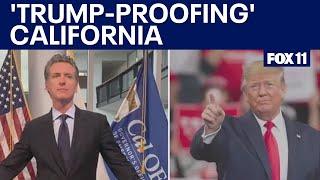 Newsom looking to 'Trump-proof' California