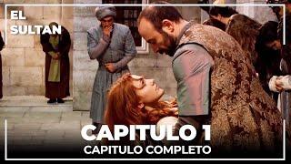 El Sultán | Capitulo 1 Completo