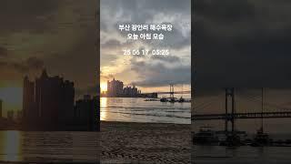 #나훈아 #해변의여인 #트로트 #힐링 #7080 #추억의노래 #부산광안리  #감성