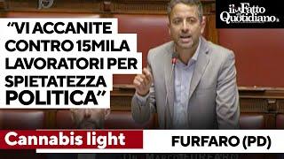 Cannabis, Furfaro (Pd) al governo: "Vi accanite contro 15mila lavoratori per spietatezza politica"