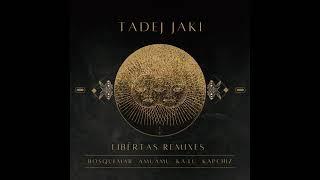 Tadej Jaki - libertas [AmuAmu remix]