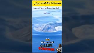 ️موجودات ناشناخته دریایی️موجودات عجیب غریب کشف شده️