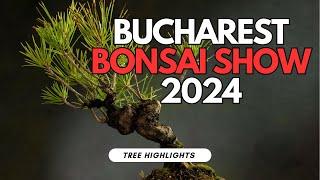 Bucharest Bonsai Show 2024 Highlights