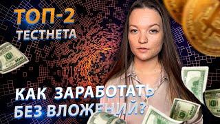 Как заработать без вложений на тестнетах | testnet