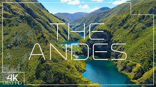 Secrets of The Andes ️ A 4K nature documentary